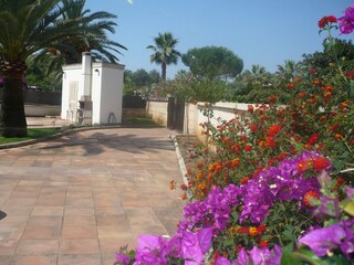 Villa S'Illot Buitenaudio-opname 8