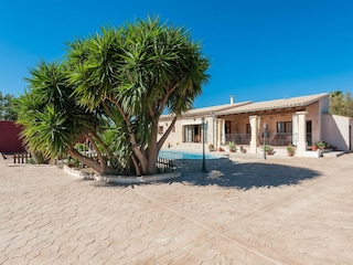 Villa Binissalem  51