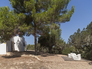 Ferienhaus Cap de Barbaria  23