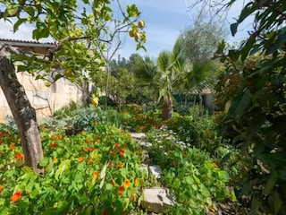 Villa Mancor de la Vall Außenaufnahme 9