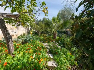 Villa Mancor de la Vall Buitenaudio-opname 9