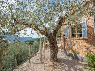 Villa Fornalutx  13
