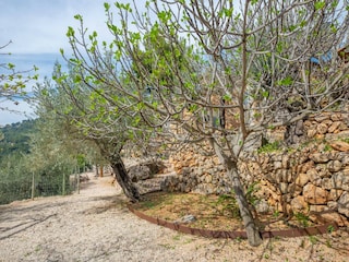 Villa Fornalutx  31