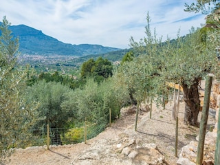 Villa Fornalutx  15