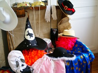 Castello Asnières Caratteristiche 8