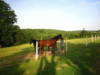 Castello Asnières Ambiente 36