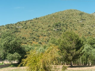 Villa Capdepera  14
