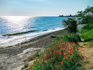 Casa per le vacanze Kerteminde  8