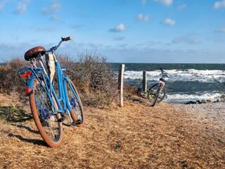 Ferienpark Blankenberge Umgebung 16