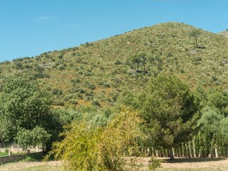 Villa Capdepera Environment 32