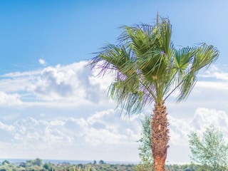 Villa Cala Romantica  29