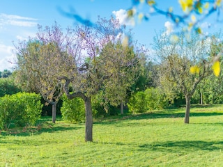 Villa Cala Romantica  18