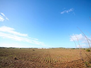 Villa Vilafranca de Bonany Ambiente 12