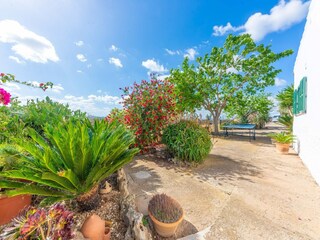 Villa Santa Margalida Buitenaudio-opname 4