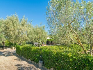 Villa Can Picafort Buitenaudio-opname 4