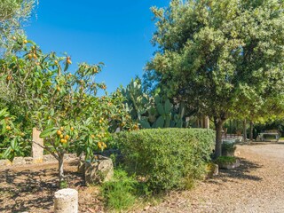 Villa Can Picafort Buitenaudio-opname 5
