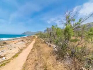 Holiday house Son Serra de Marina Environment 20