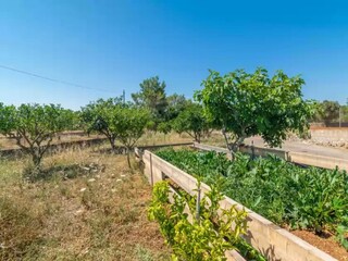 Holiday house Algaida Environment 24