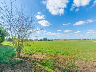 Villa Campos Environnement 67