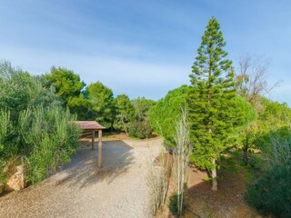 Villa Cas Concos Entorno 36