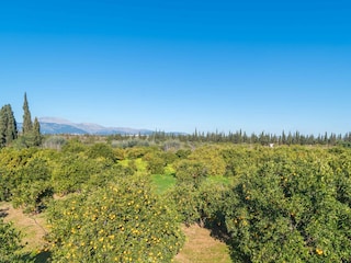 Villa Llubi Environnement 50