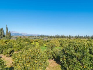 Villa Llubi Omgeving 50