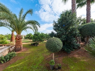 Villa Llubi Environnement 51