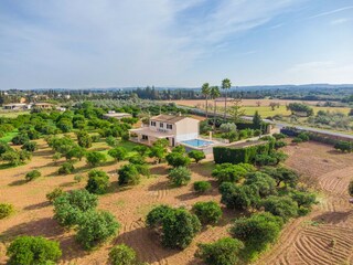 Villa Llubi Ambiente 55