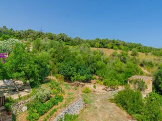 Villa Sant Llorenc des Cardassar Environnement 41
