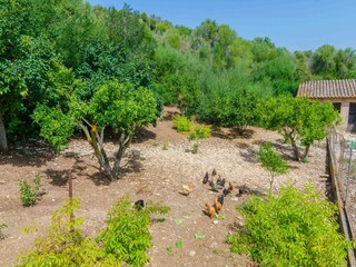 Villa Sant Llorenc des Cardassar Omgeving 42