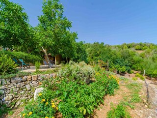 Villa Sant Llorenc des Cardassar Omgeving 50