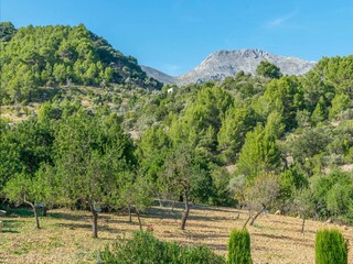 Villa Mancor de la Vall  47