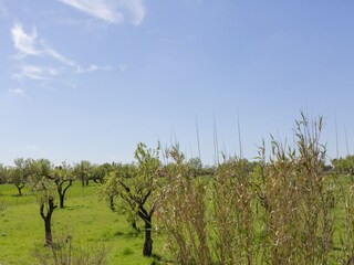 Villa Inca Environnement 30