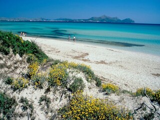 Apartment Alcudia Environment 23