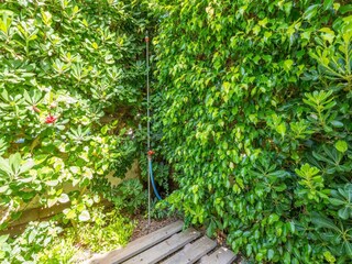 Apartment Alcudia  42