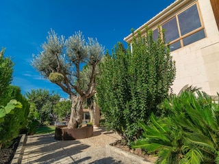 Villa Lloseta  38
