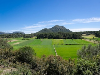 Villa Algaida  40