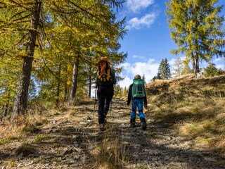 Hiking in summer