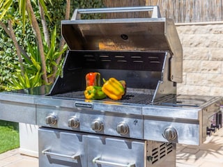 Large gas barbecue for fun barbecue evenings