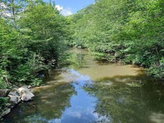Parc de vacances Viroinval Environnement 15