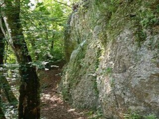 Parc de vacances Viroinval Environnement 19