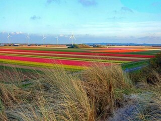 Parc de vacances La Puebla de Roda Environnement 16