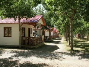 Holiday park Bungalow mit Terrasse in der Region Aragonien - La Puebla de Roda - image1