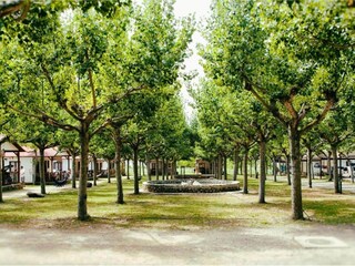 Holiday park La Puebla de Roda Environment 20