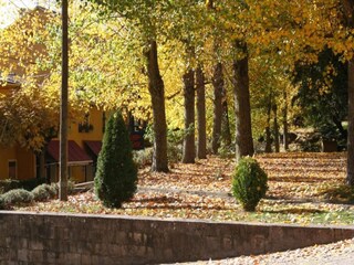 Holiday park La Puebla de Roda Environment 25
