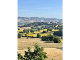 Holiday house Sant'Ippolito Outdoor Recording 15