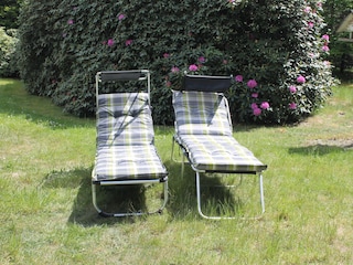 Ferienhaus Bad Bodenteich Außenaufnahme 11