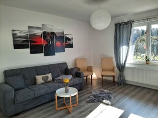 Wohnzimmer / Schlafsofa
