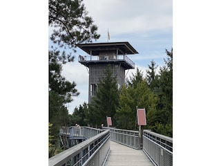 Baumwipfelpfad  Heide Himmel, Niendorf