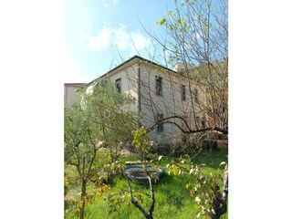 Blick auf den Garten